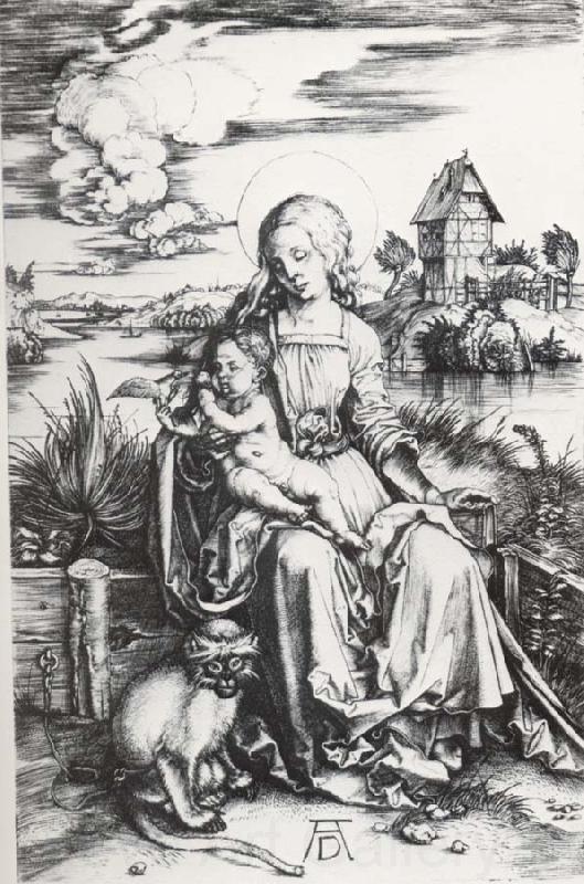 Albrecht Durer The Madonna with the Monkey Norge oil painting art